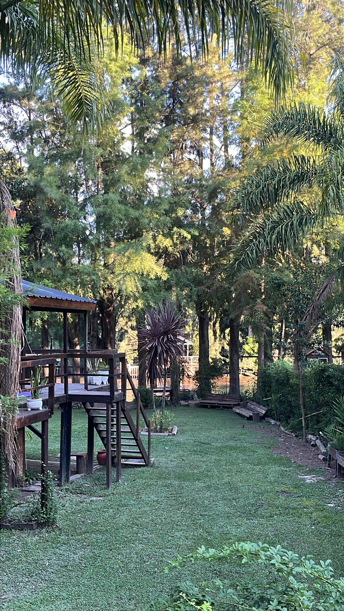 agostinnasol's tweet photo. Fui unos días a la isla y me inspiré😛🫦💦💖🥰🫣 vayan a ver las cositas que subí 

Of: @agosttinasol https://t.co/VaShtWR1Qg
