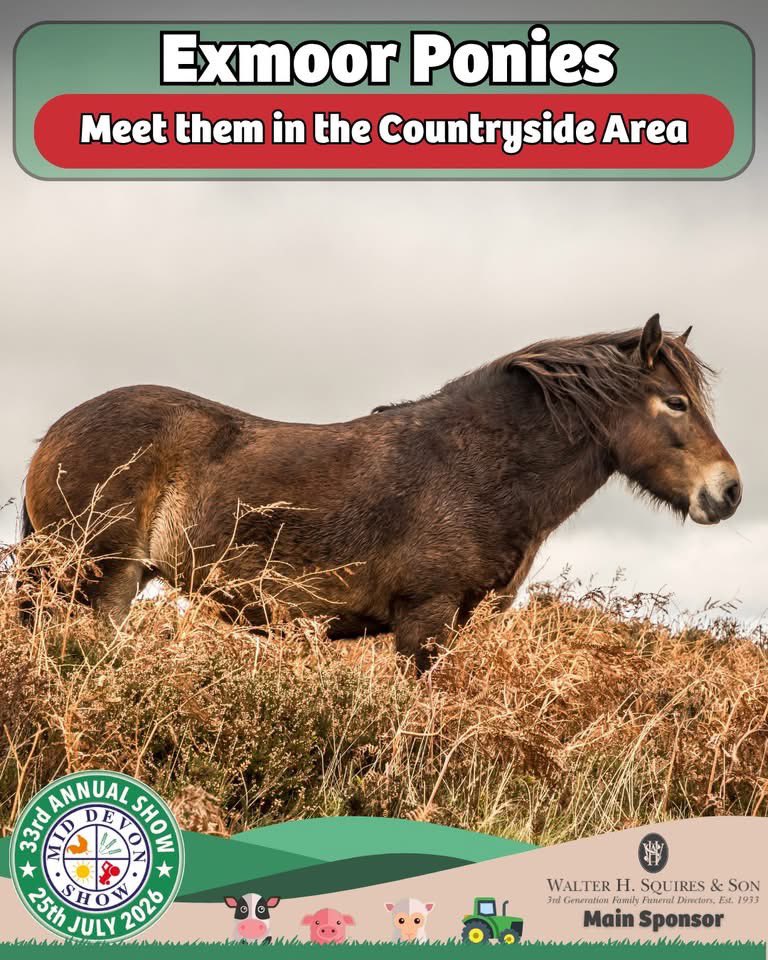 middevonshow's tweet photo. 🐴 Exmoor Ponies are coming to the Countryside Area🌿

A true symbol of the South West countryside, these beautiful native ponies are always a favourite with visitors
🎟️ Get your tickets here:
https://t.co/T7yISYFHoH

#MidDevonShow #ExmoorPonies #CountrysideArea #DevonEvents https://t.co/0Z7yUz7WMK