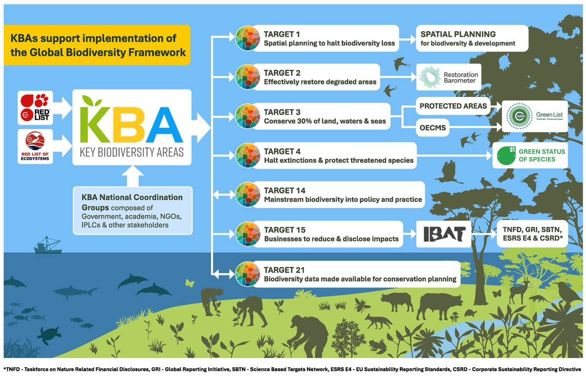 KeyBiodiversity's tweet photo. #KBAs serve as a foundational dataset for systematic conservation planning 🌱

They help guide where national efforts should be focused and contribute especially to the #KMGBF Targets 1 (spatial planning), 2 (restoration), and 3 (30X30 planning).

#LocalAction #ForNature https://t.co/MAoW2QWq0g