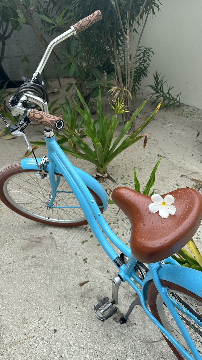 nrrllk's tweet photo. 🇲🇻🌺 https://t.co/HZHAYFVJ79