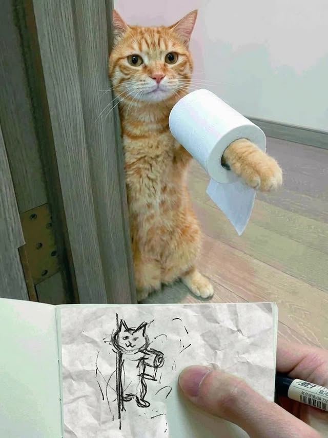 The Meow Flix tweet media