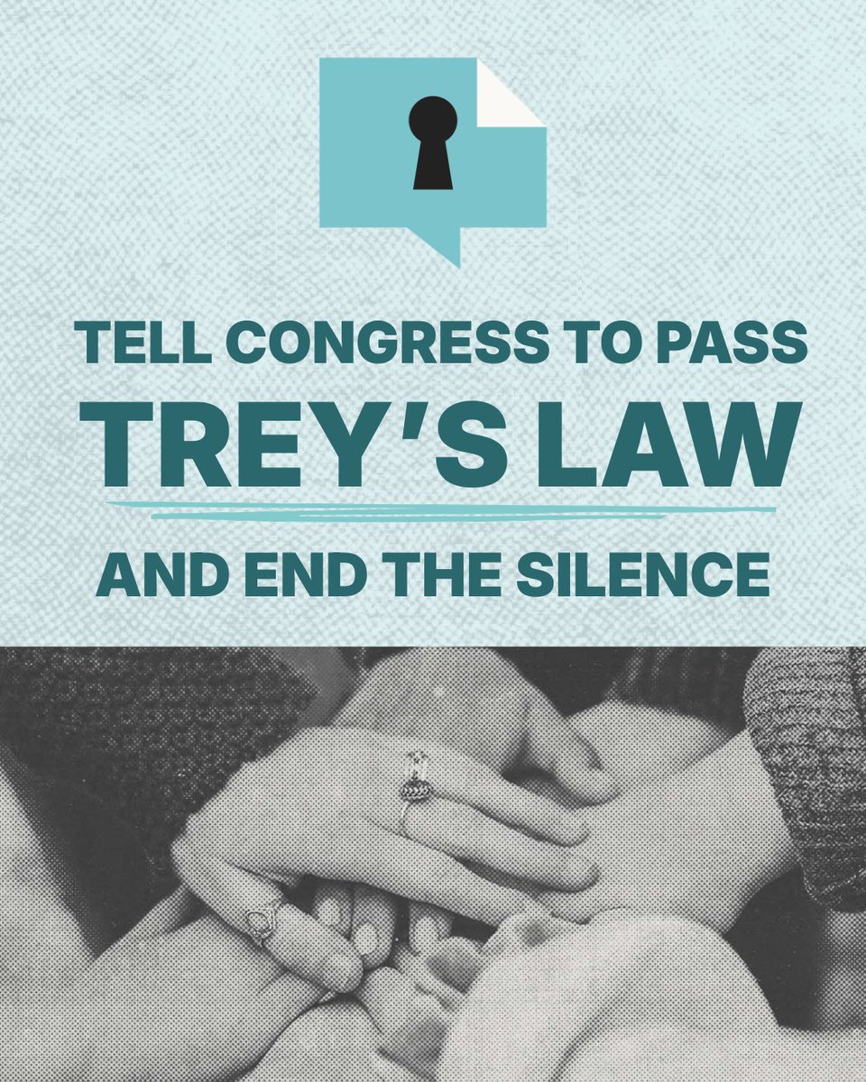 Trey's Law tweet media