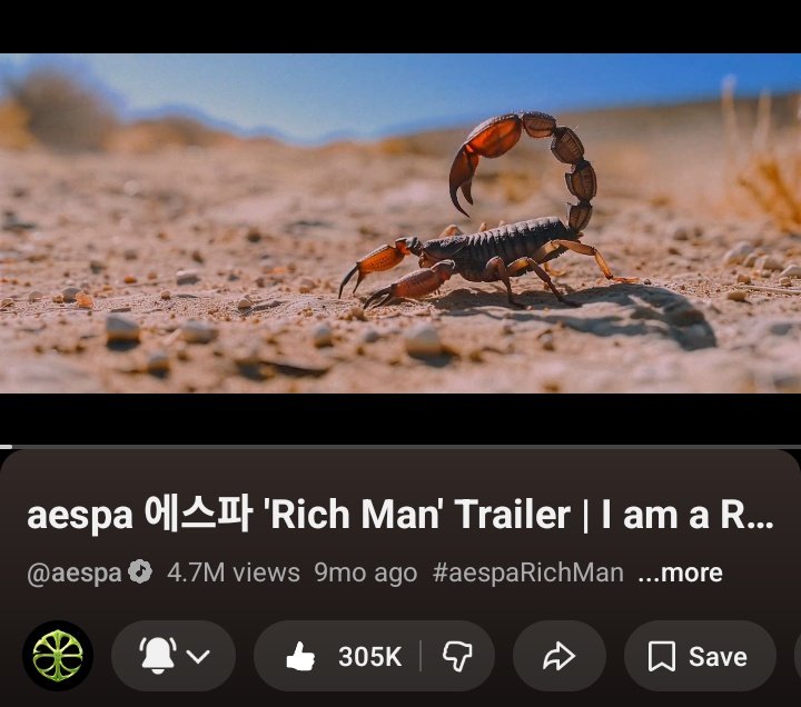 🦂 tweet media