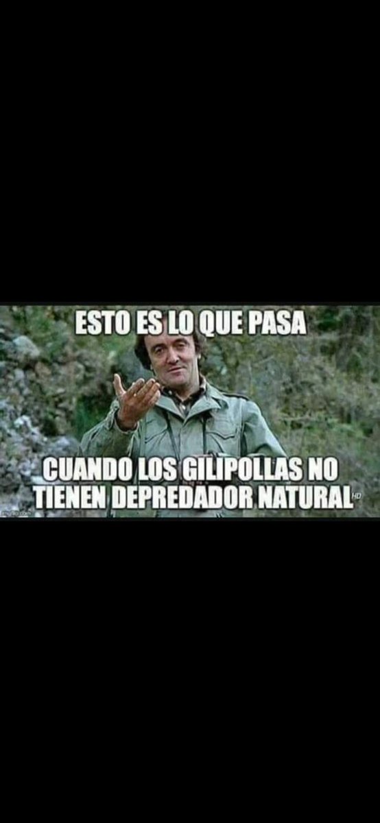 Pablo Falcón tweet media