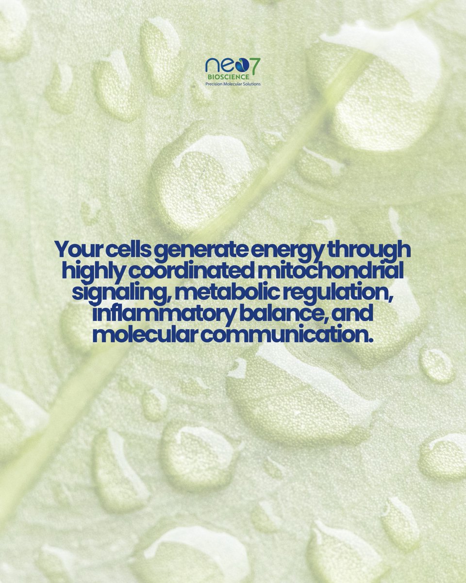 neo7bioscience's tweet photo. Your energy isn’t always psychological.
Sometimes, it’s cellular.

Fatigue, brain fog, and burnout may reflect deeper disruptions in mitochondrial function, inflammation, and biological signaling.

The future of medicine will focus less on masking symptoms — and more on understanding the systems driving them.

Follow Neo7 Bioscience for more on precision medicine, molecular intelligence, and the future of proactive healthcare.

#Neo7 #PrecisionMedicine #MolecularMedicine #CellularHealth #Mitochondria #Longevity