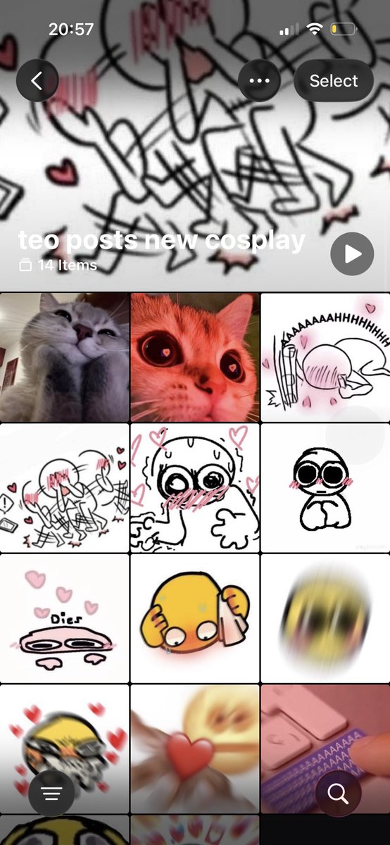 ⸝⸝ ꒰ sina 🐇 ⁞ ˎˊ˗ ♡ tweet media