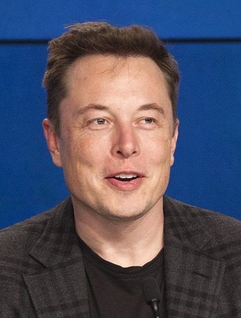 ElonScenario✨ tweet media