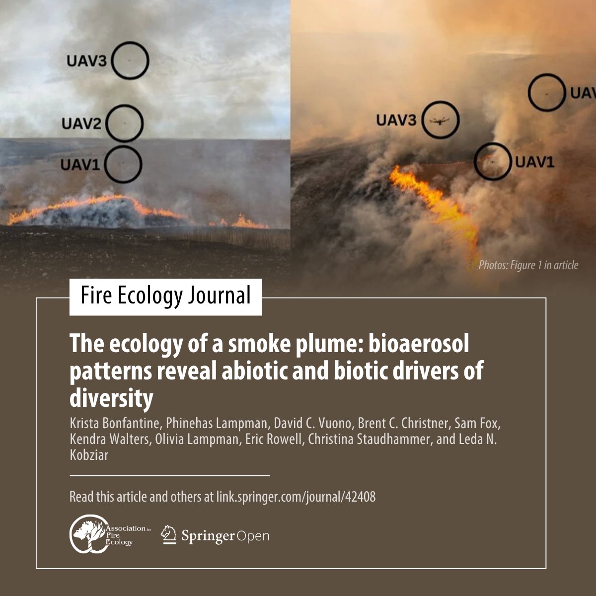 Association for Fire Ecology tweet media