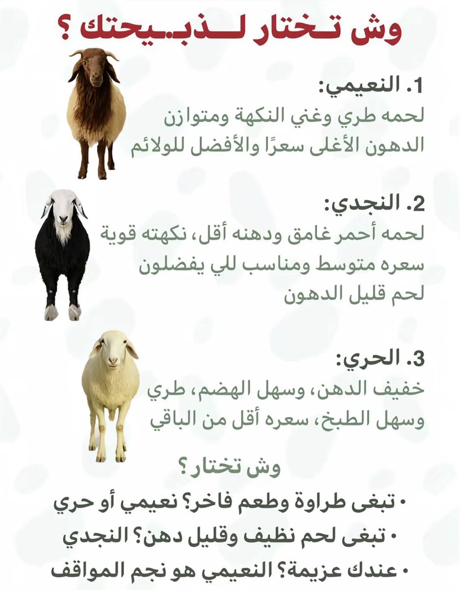 FirstC_'s tweet photo. @Ulavcke_ اللي محتار بينهم يمشي على هذي الصورة 👌🏻 https://t.co/XXsDx4DYHv