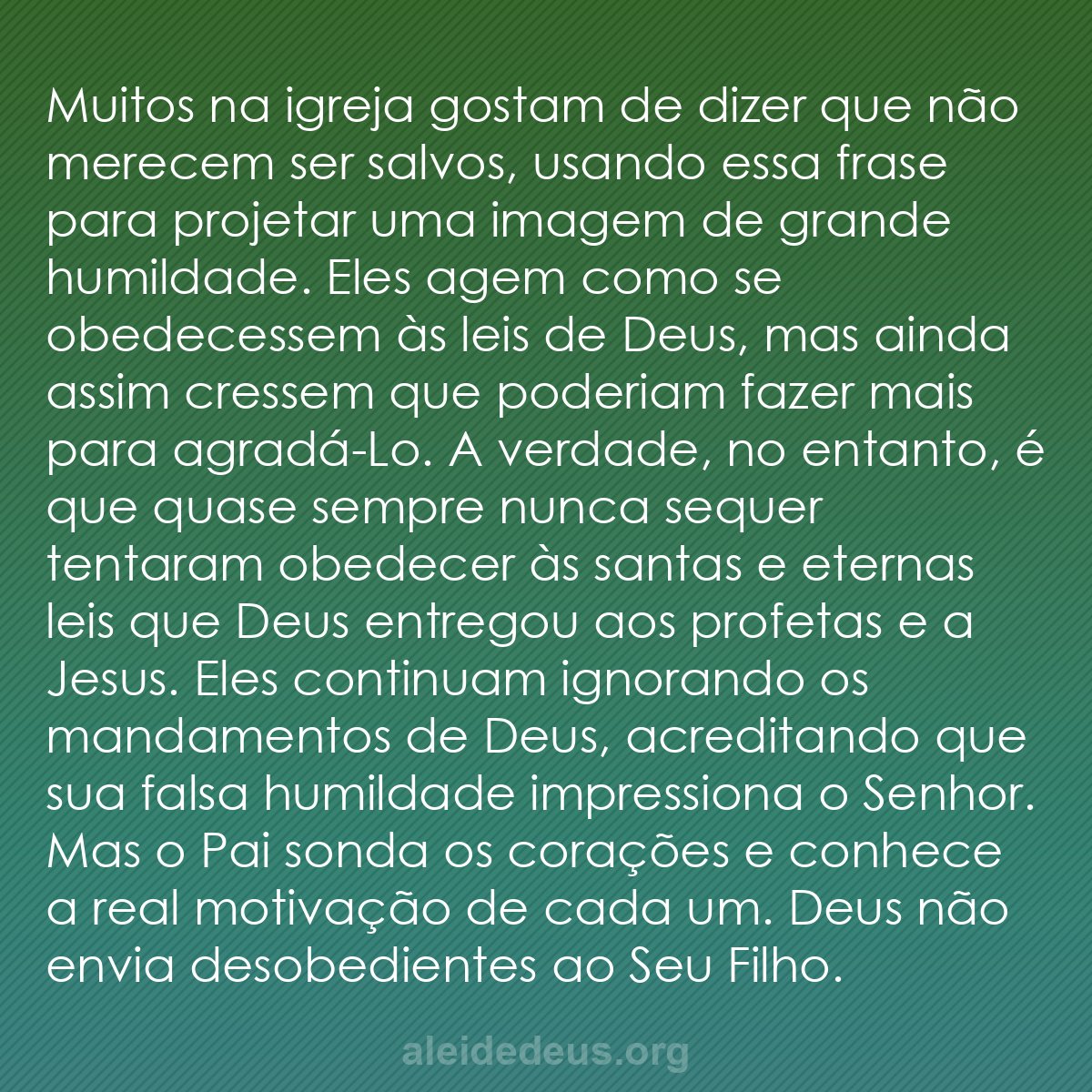 Semeadores da Palavra tweet media