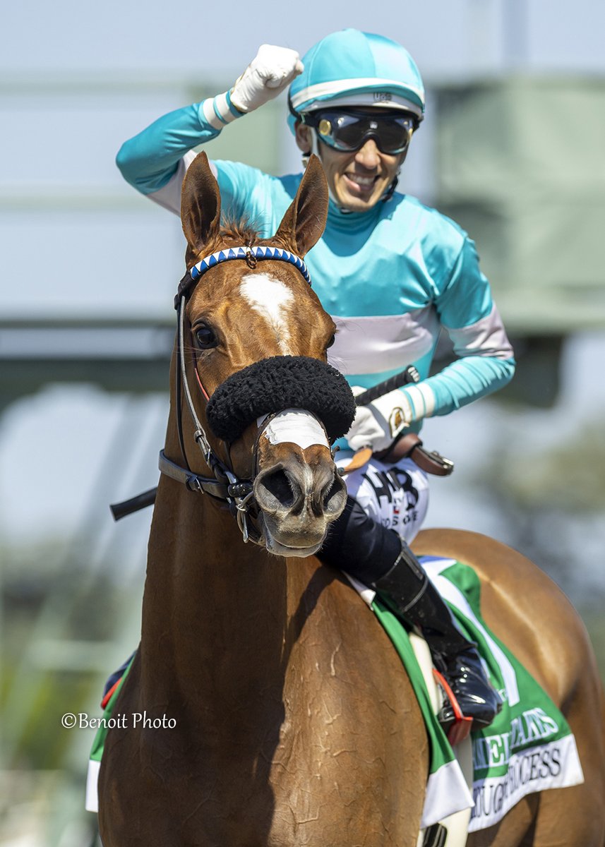 theTDN's tweet photo. The Grade I Gamely Stakes was the goal and the steadfast THOUGHT PROCESS (Collected) dutifully delivered Monday, winning by 2 3/4 lengths at @santaanitapark 🏆 It marked the chestnut filly's first Grade I score after three previous graded wins, including last out in the GII Buena Vista.

"It was pretty special...Someone asked me what the dream scenario was and we just saw it. It was perfect."

Although it's been three months since her most recent outing and she only returned to the worktab Apr. 20, Thought Process signaled her readiness with a sparkling five-furlong drill May 18, breezing in :58 4/5 (2/33).

Thought Process has been nearly a sure thing in every other career start, including wins in the GII San Clemente Stakes and GIII Surfer Girl Stakes, as well as a third in last summer's GI Del Mar Oaks, her last start before the Buena Vista. She has earned $680,200.

Trained by Phil D'Amato, she was bred by Brereton C. Jones; owned by Estate of Brereton C. Jones, Little Red Feather Racing and Madaket Stables LLC; ridden by Hector Berrios.

ICYMI - Read more: https://t.co/OtviNZIECK