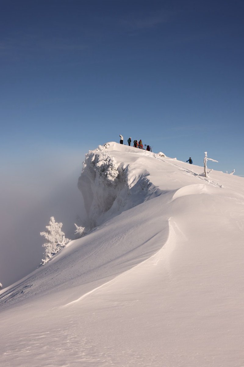 CPASGAGNE69's tweet photo. Show me your favorite snow scene. #snowscene https://t.co/HMfc4hCH2G