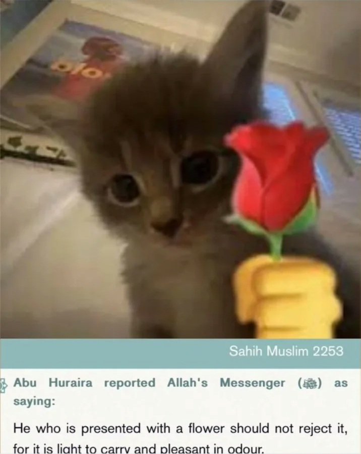 ابن عبد الرحمن tweet media