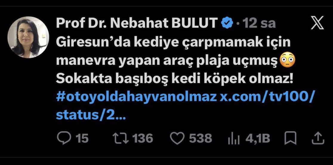 Serap Ulusoy 🦋 tweet media