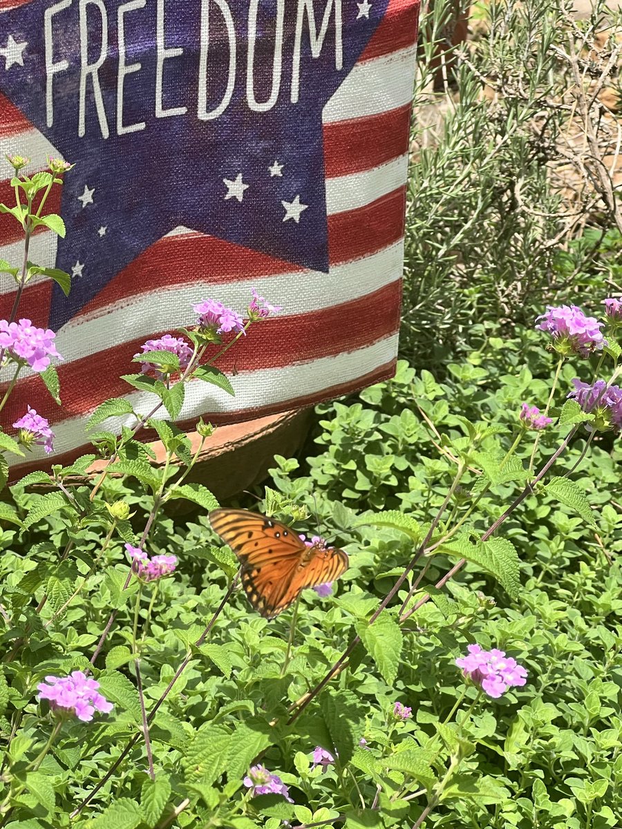 TXPat Chic 🇺🇸⭐️🇺🇸 tweet media