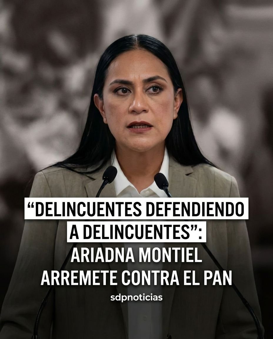 SDP Noticias tweet media