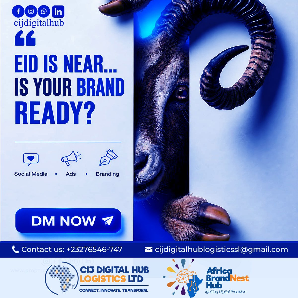 CijDigitalHub's tweet photo. Eid is more than a celebration — it is a season when people notice brands that show up with meaning, identity, and creativity. 🌙✨
#Eid2026 #Branding #DigitalMarketing #SocialMediaMarketing #CIJDigitalHub #AfricaBrandNestHub #CreativeDesign #BusinessGrowth #MarketingStrategy https://t.co/WuWEIuFBrK