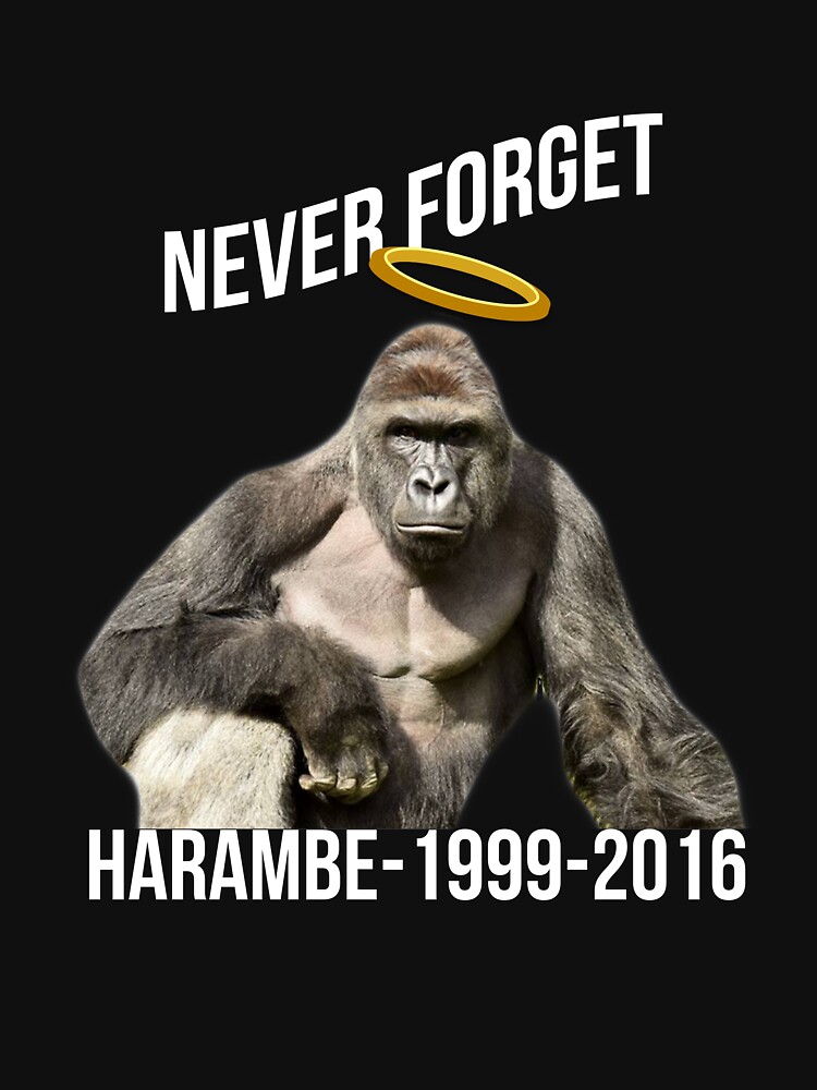 GodofBlunder247's tweet photo. May 26th 2016

10 years ago today the timeline was irreversibly altered

Let's honor one of the greatest meme runs in history. Drop your best Harambes here https://t.co/PLH8qYuENL