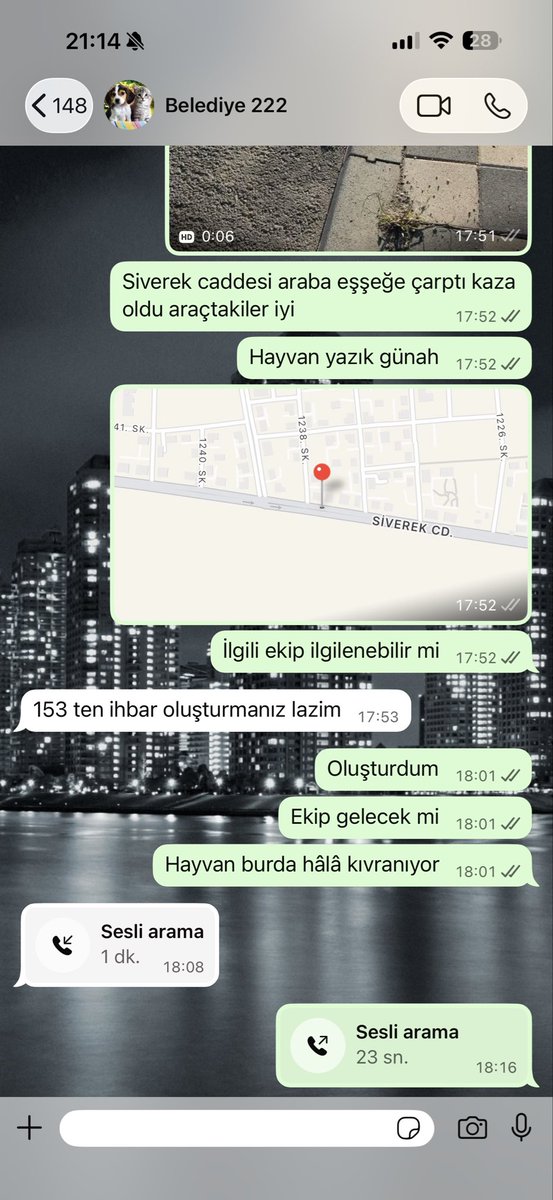 Okan Turhan tweet media