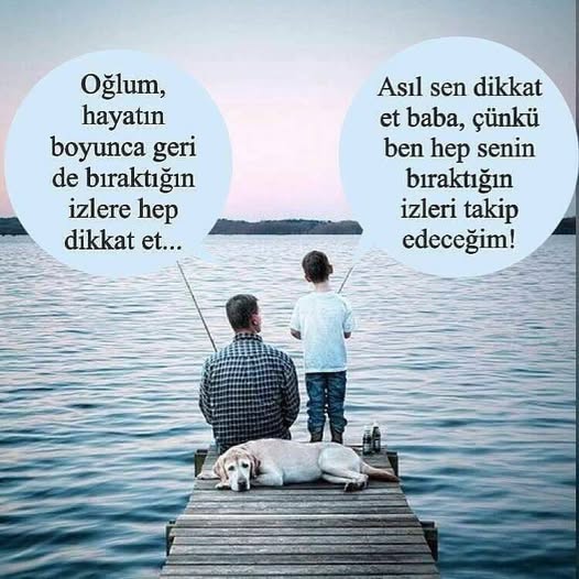 Öğretmen tweet media