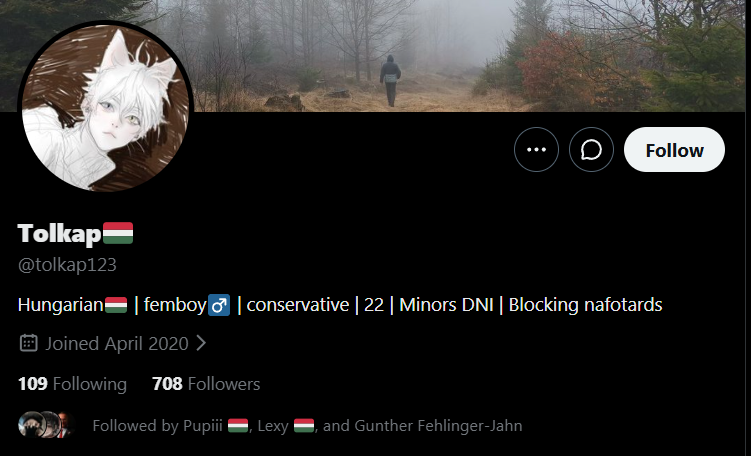 Ion Râmaru tweet media