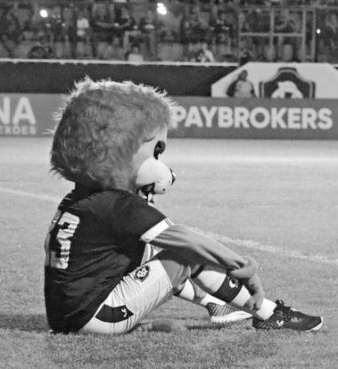 Centr🅰️l do Clube do Remo¹⁹⁰⁵ 🦁 #FORACONDÉ tweet media