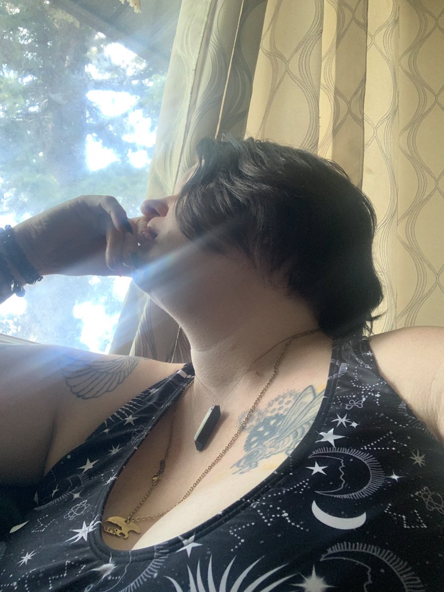 KayBear tweet media