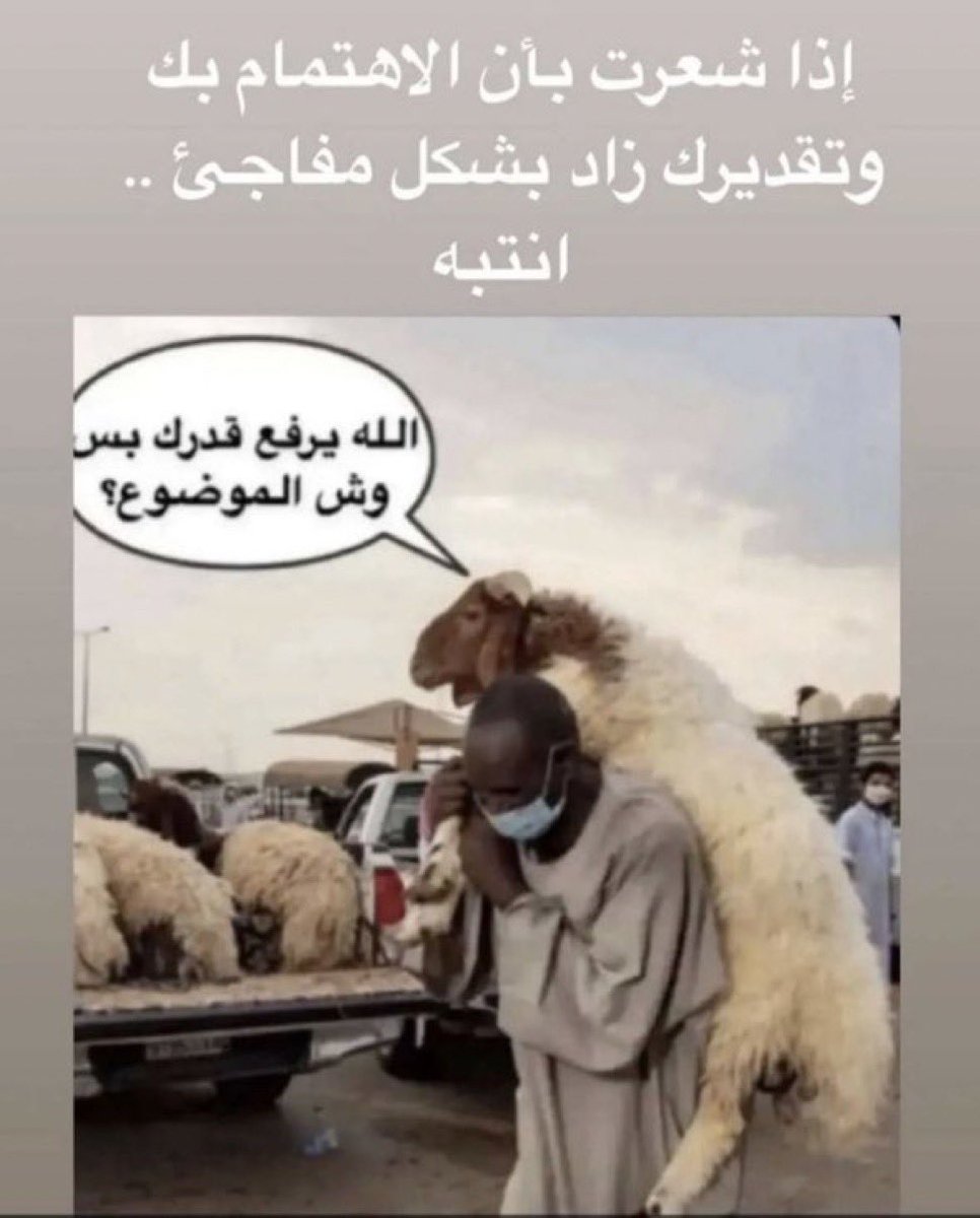 محمد (رَجُلٌ يَسعى) tweet media