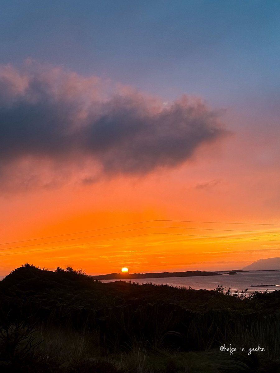 gardeninNorway's tweet photo. Sunsetview last evening😍
#sunset #nature #NaturePhotography #sunsetoftheday #sunrise_sunset #Norway #GardeningX #NaturePhoto https://t.co/teESM6RPLs