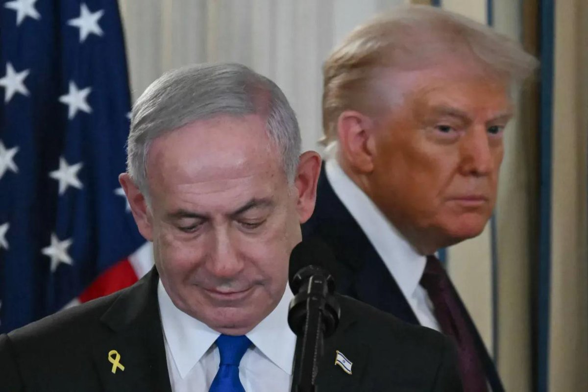Gabriel Yerushalmi 🇮🇱 tweet media