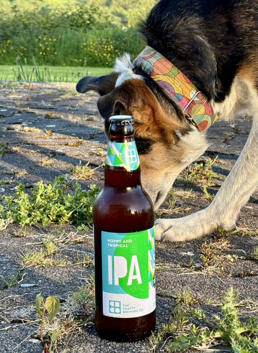 Growley Crowley tweet media