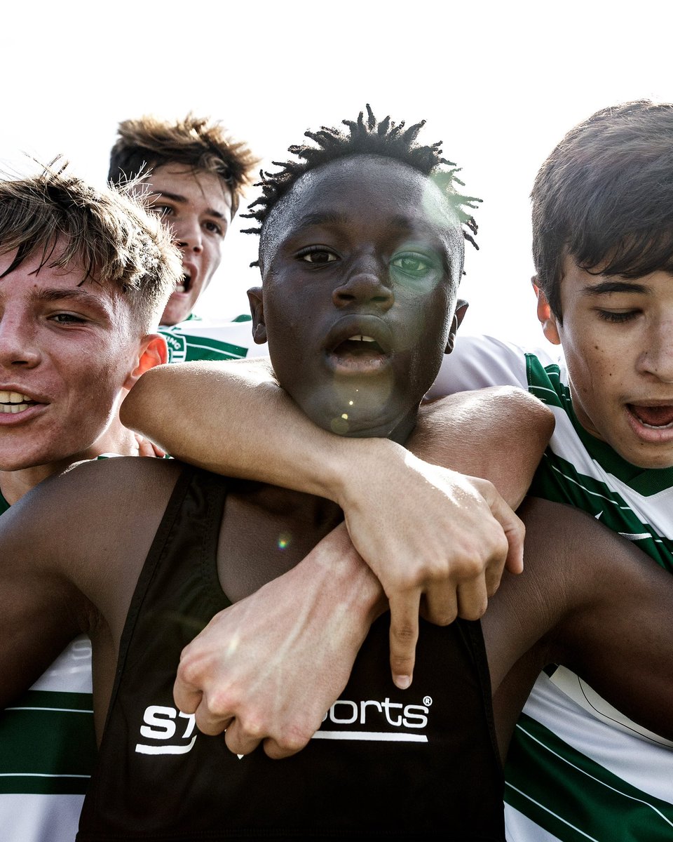 Sporting CP tweet media
