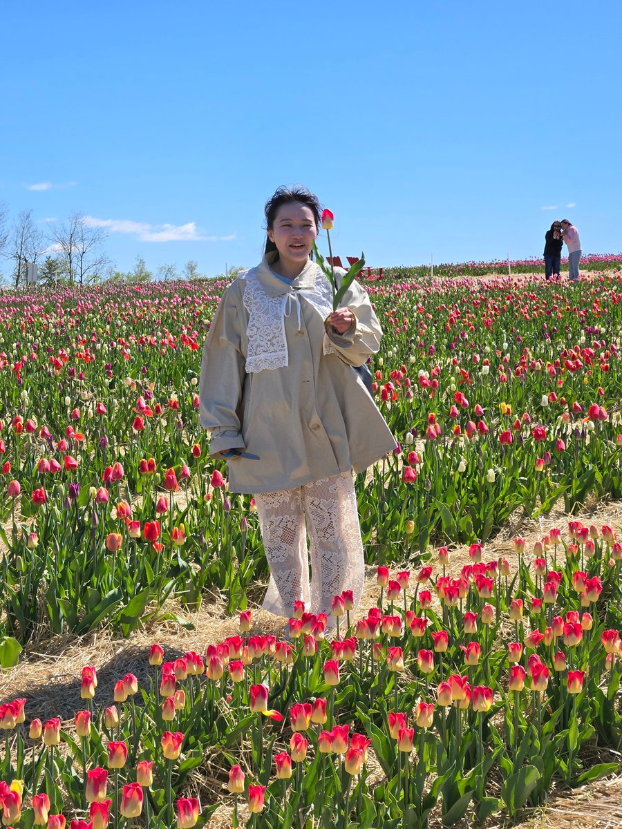 SACLIPEI's tweet photo. 🌷一部の学生たちが、プリンスエドワード島のチューリップ畑を訪れました。色とりどりの花々や新鮮な島の空気に囲まれ、新しい思い出を作るのにぴったりのひとときでした💛

#プリンスエドワード島 #留学 https://t.co/F5AbQKPxvH