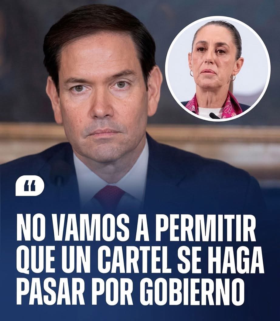Vigia Ciudadano tweet media