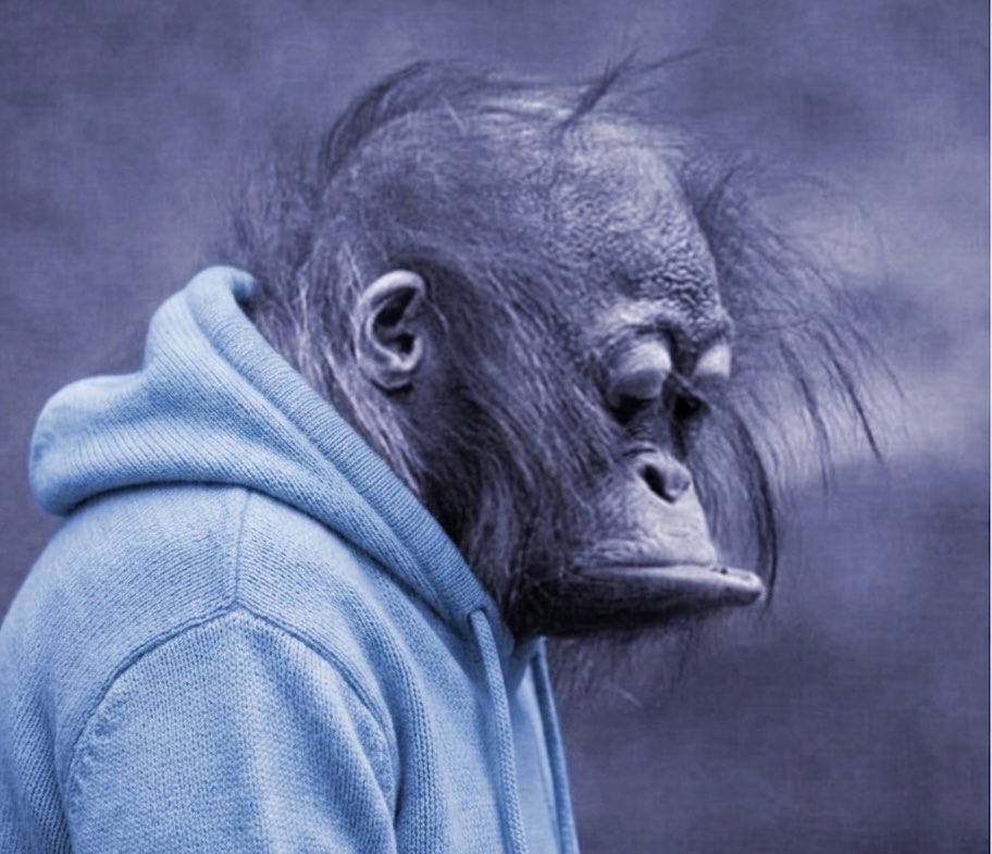 monke tweet media