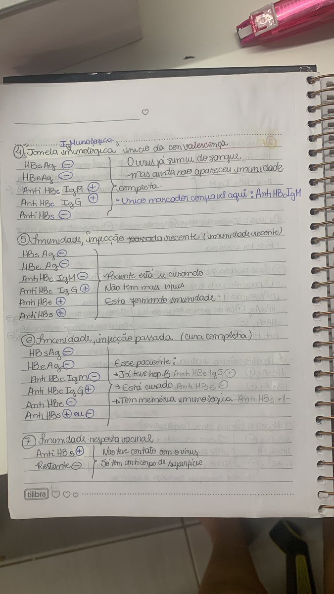 IsabelaMota2's tweet photo. @IsaacThomazAnd3 @LarizepamC @prizzaaaa Eu sou canhota e ainda assim acho que minha letra é legível https://t.co/Fn2g70T3Dq