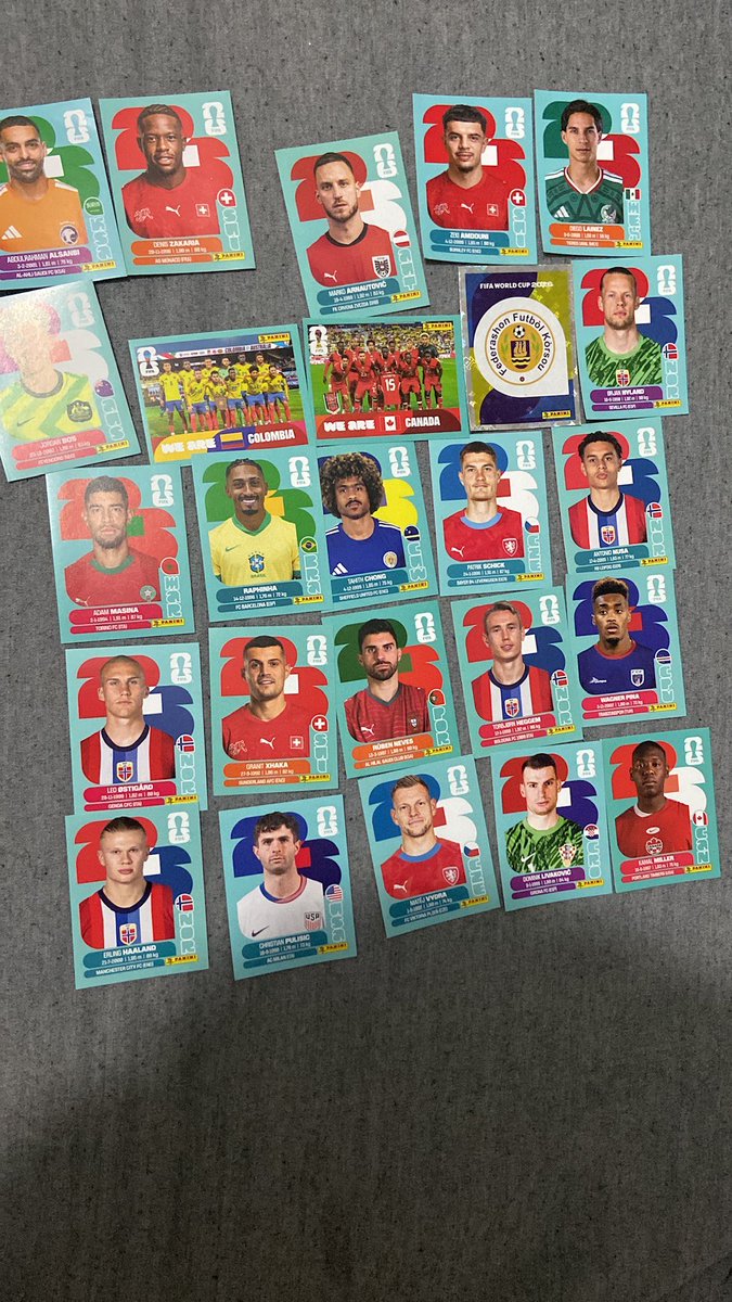WorldCup Sticker Collector tweet media
