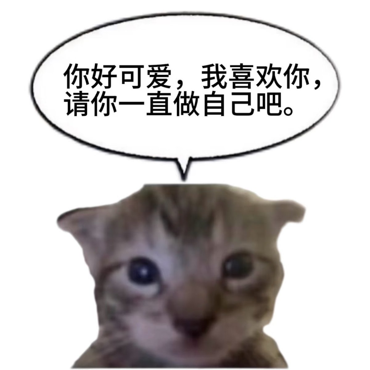 草原龙胆 tweet media