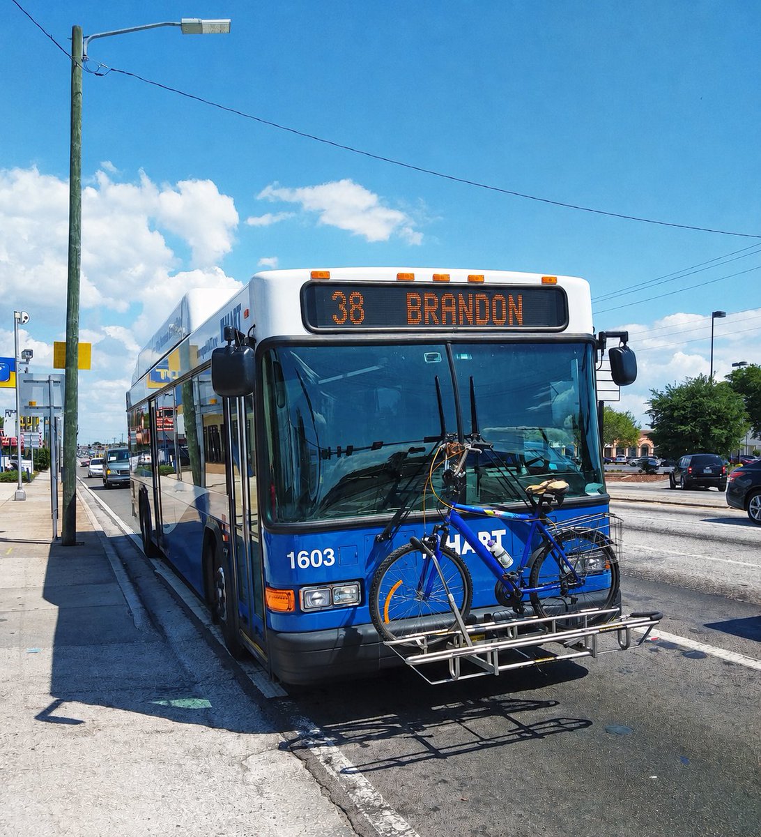 GoHART's tweet photo. Work at @HCAFLHealthcare Brandon Hospital, Brandon Exchange (the Mall), or @SHRTampa?

HART is increasing weekday frequency on Route 38 to every 30 minutes starting June 7!

👉 DETAILS: https://t.co/godl8dh1or https://t.co/MkwthNXEhn
