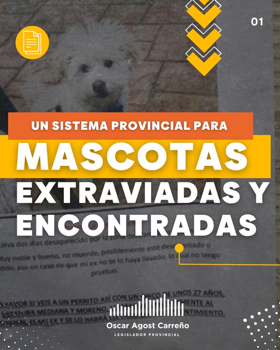 Oscar Agost Carreño tweet media