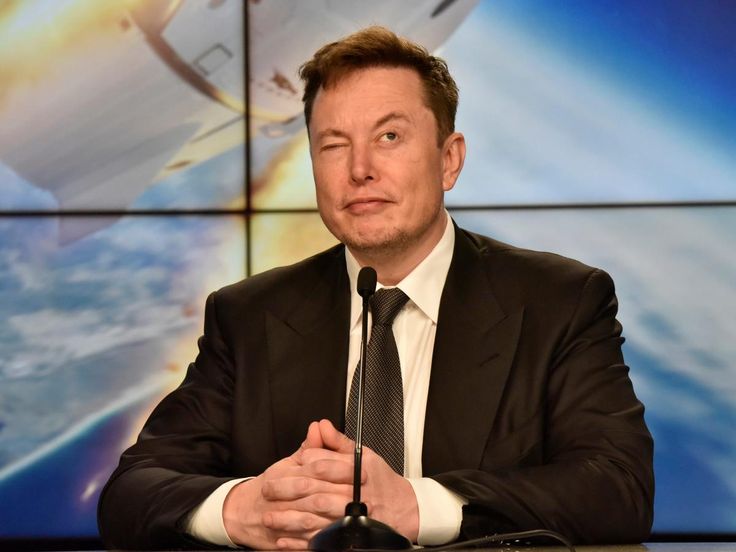 ElonScenario✨ tweet media