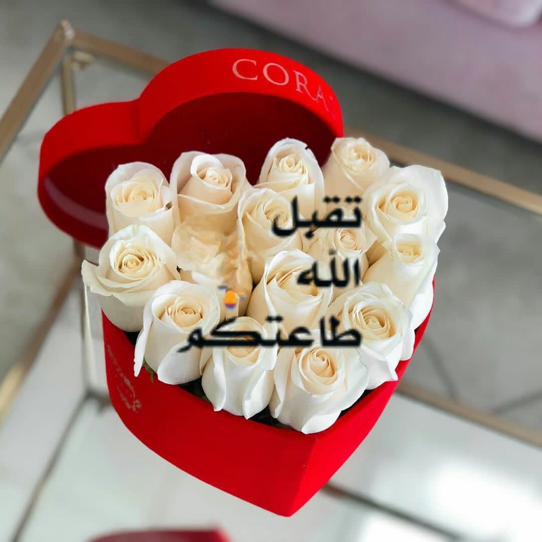 خديجة tweet media