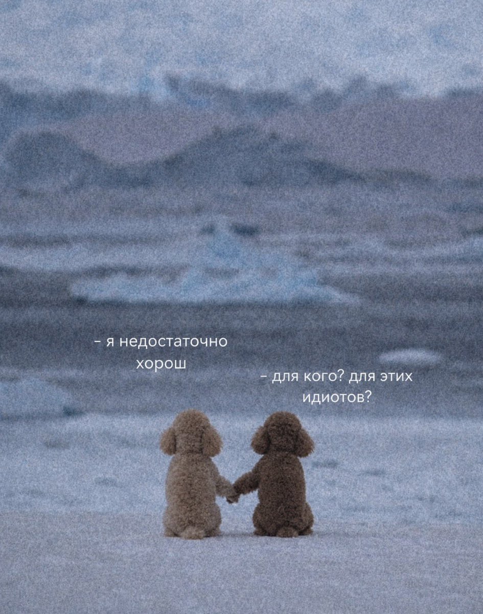 arinawhynot's tweet photo. дружеское напоминание https://t.co/W57ENk3Idi