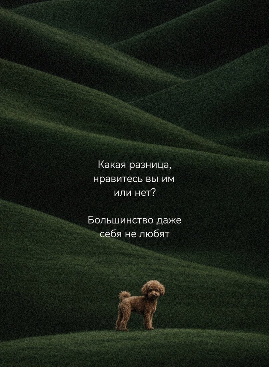 arinawhynot's tweet photo. дружеское напоминание https://t.co/W57ENk3Idi