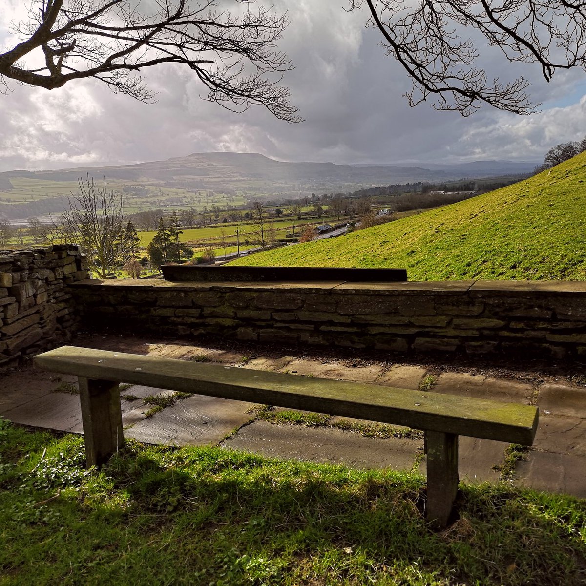 My Favourite Bench tweet media