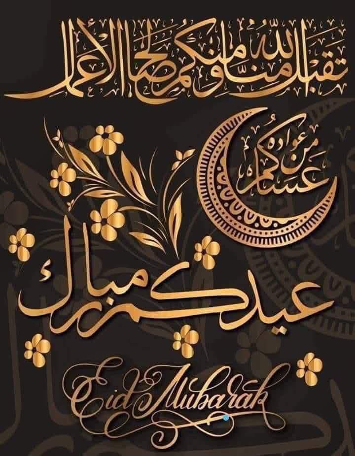 OMAR HASHISH tweet media