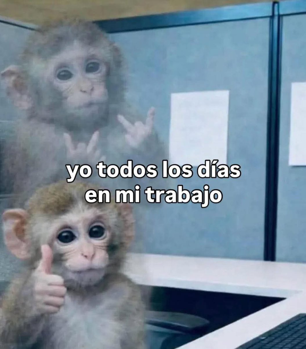ANIMALITOSSANA's tweet photo. https://t.co/mokwtO9jYI