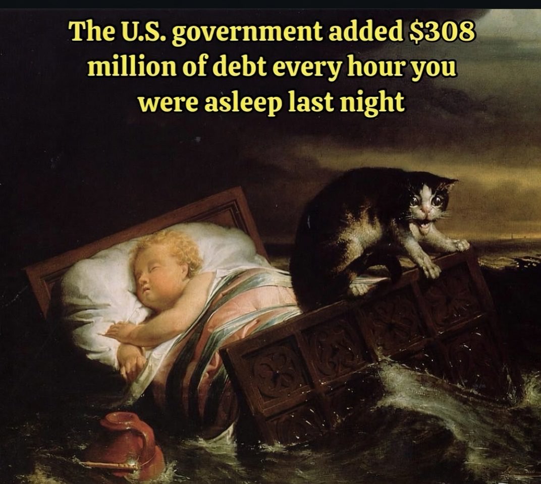John (Anarcho Cat) tweet media