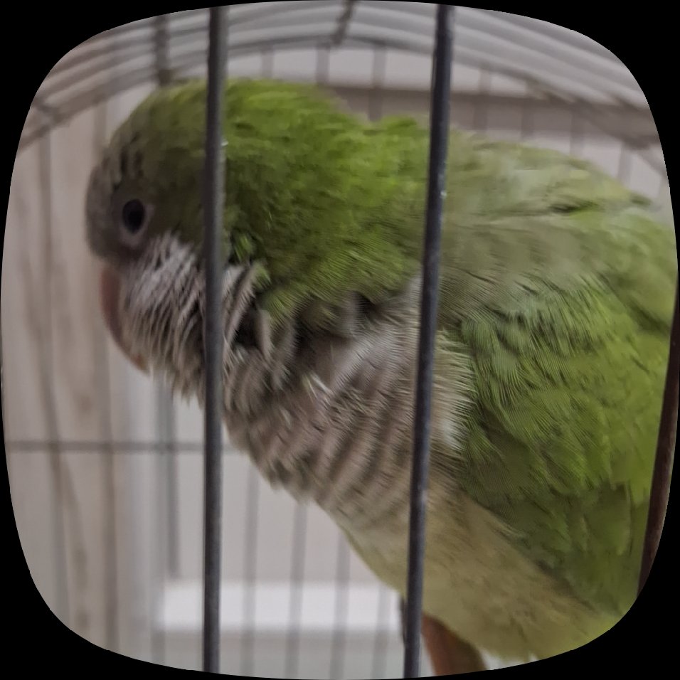 ⋆. 𐙚 ˚𝑅𝑦𝑟𝑦𝑛 🩷 tweet media