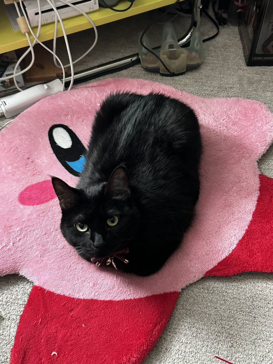 Poop Ghost 🐈‍⬛ tweet media